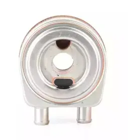 BSG 65-506-004 BSG масляный радиатор, двигательное масло